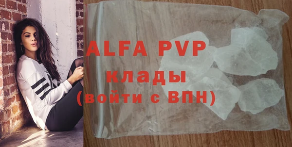 таблы Пересвет