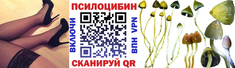 Галлюциногенные грибы Psilocybe Купить Константиновск